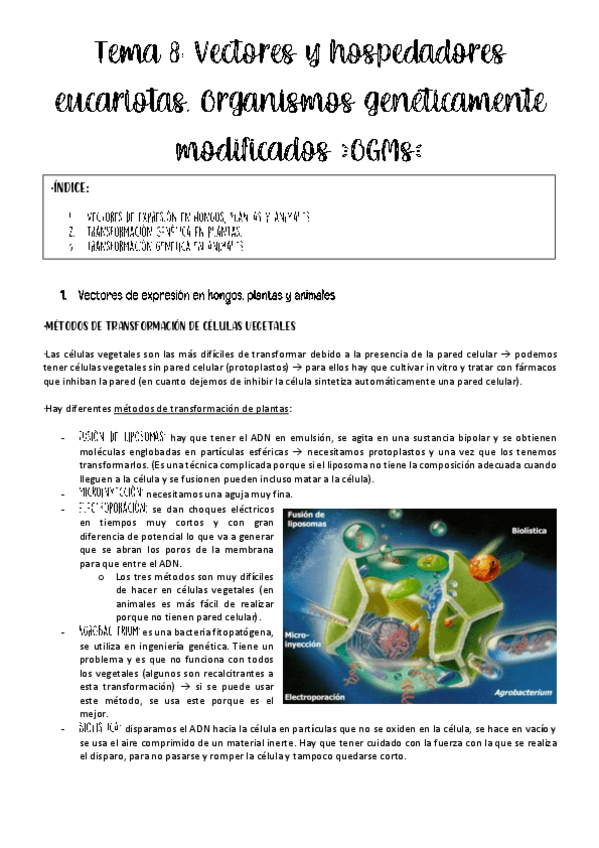 Miniatura del documento tema-8-ing-genetica.pdf