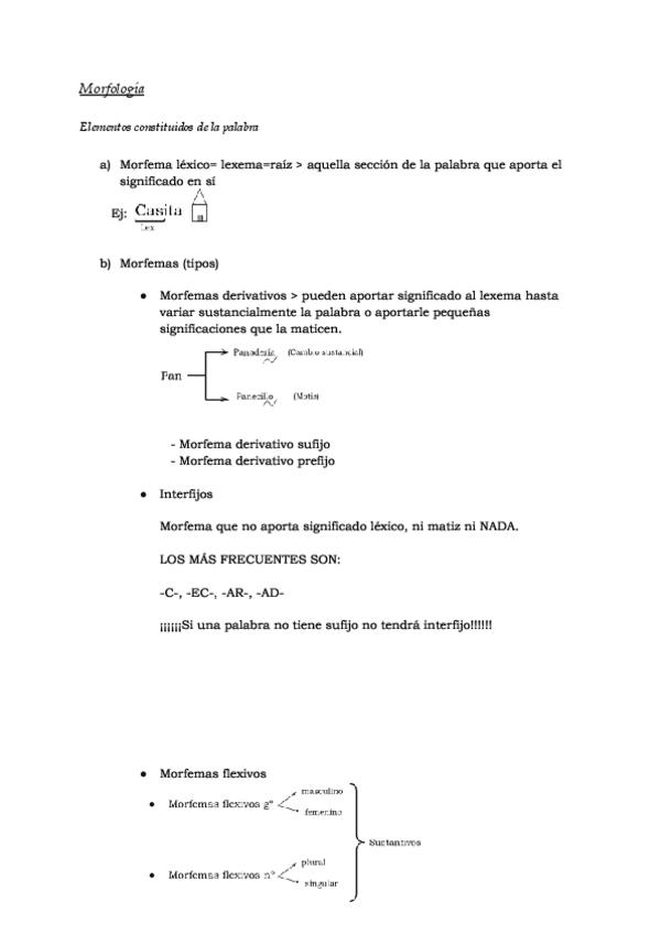 Miniatura del documento Morfologia.pdf