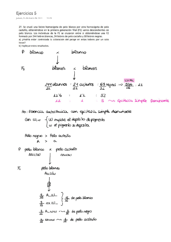 Miniatura del documento Ejercicios-tema-6.pdf