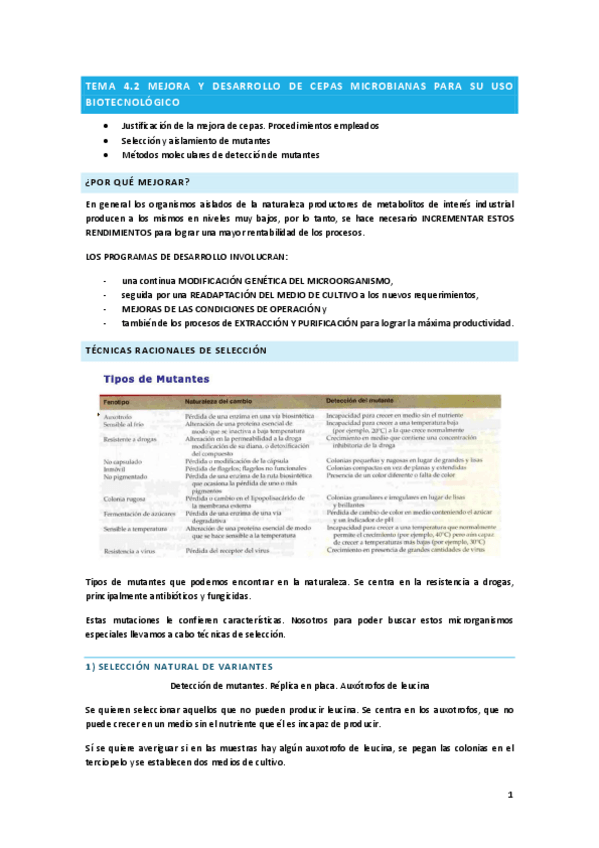 Miniatura del documento Tema-4.2.pdf