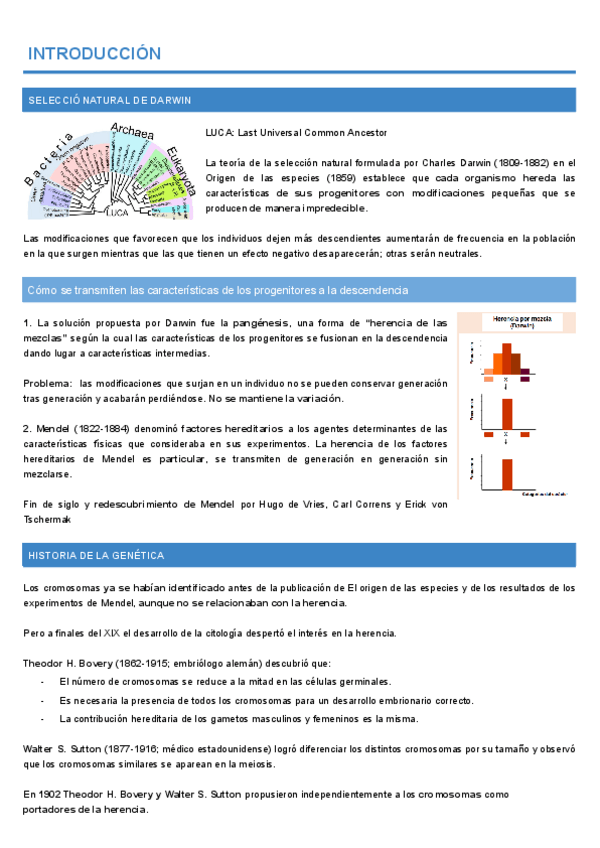 Miniatura del documento Genetica-1r-parcial.pdf