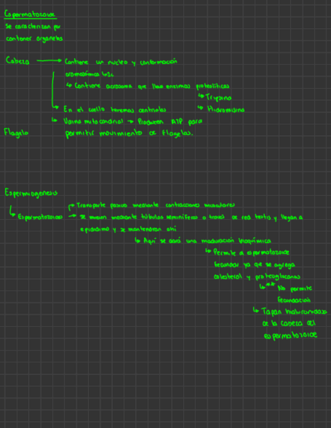 Miniatura del documento Fecundacion.pdf