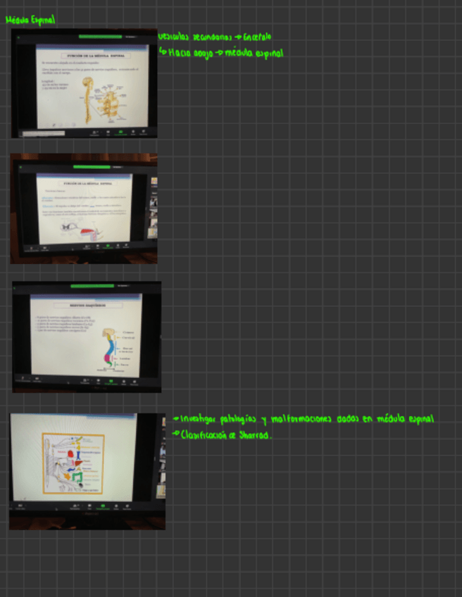 Miniatura del documento Histogenesis.pdf