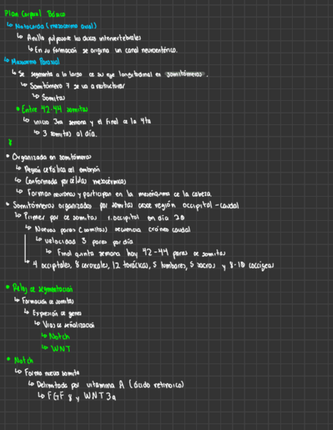 Miniatura del documento Plan-Corporal-Basico.pdf
