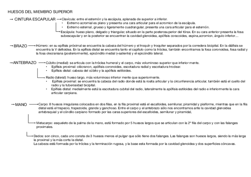 Miniatura del documento esquema-1.pdf