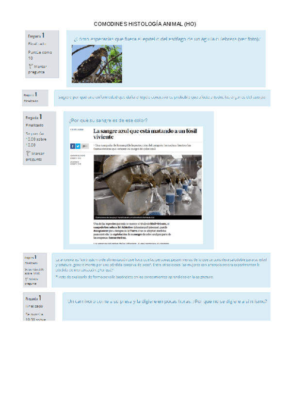 Miniatura del documento Comodines-HO-Animal.pdf