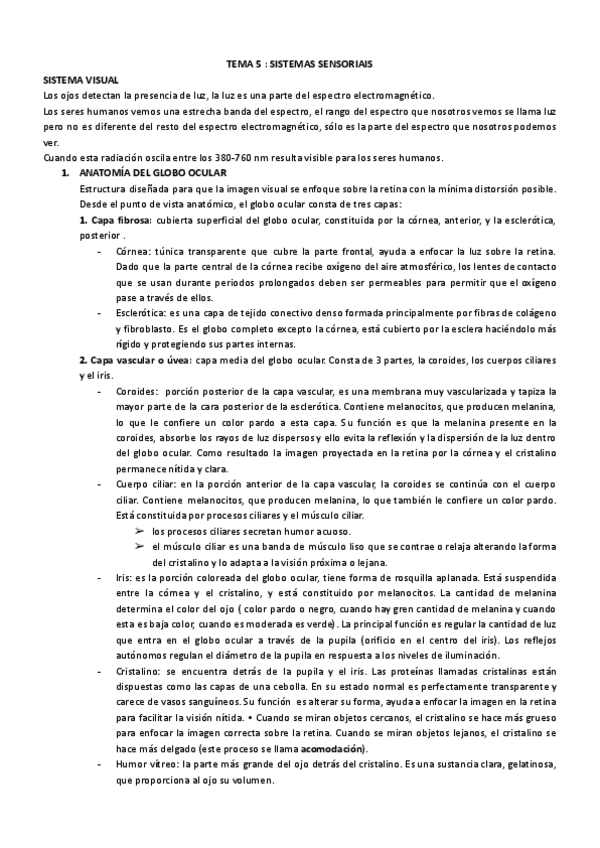 Miniatura del documento TEMA-5-SISTEMA-SENSORIAIS-visualauditivo.pdf
