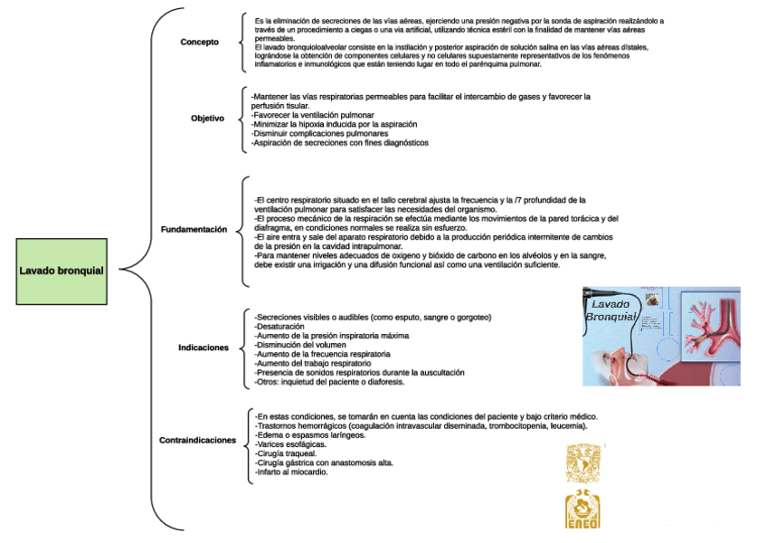 Miniatura del documento Mapa De Lavado Bronquial.pdf