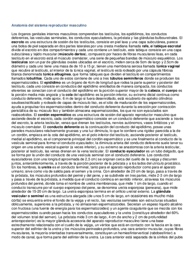 Miniatura del documento Anatomía del sistema reproductor masculino.pdf