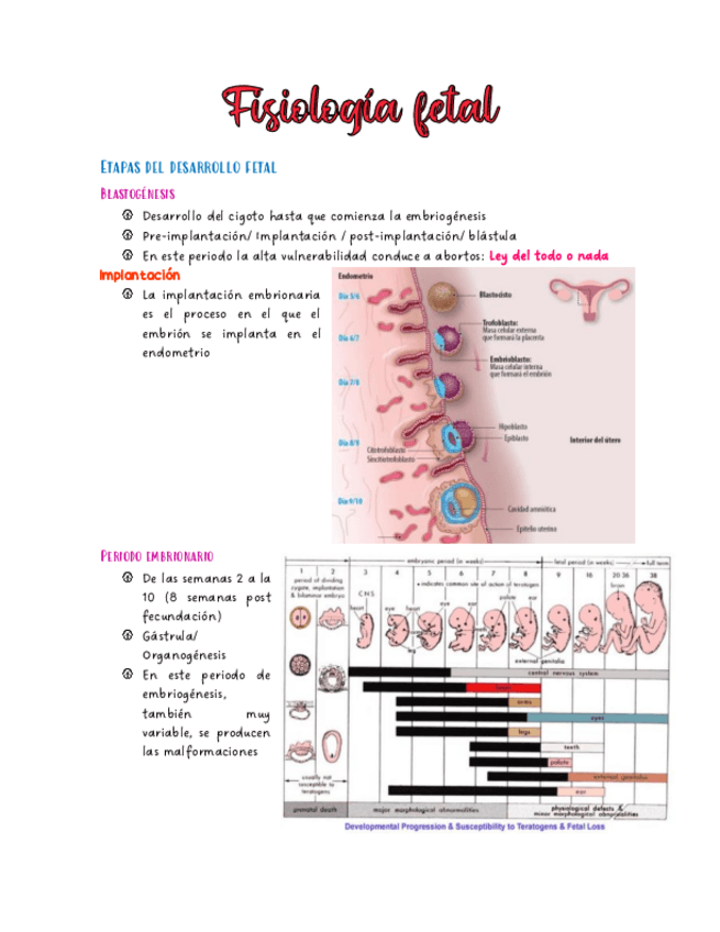 Miniatura del documento Fisiologia-fetal.pdf