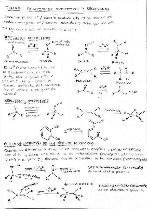 Miniatura del documento Quimica-organica-tema-8.pdf