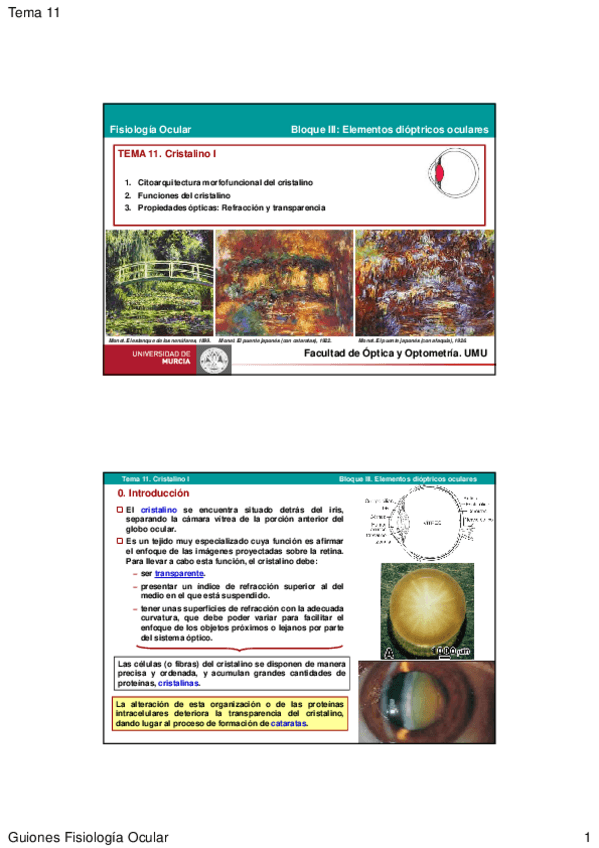 Miniatura del documento tema11.pdf