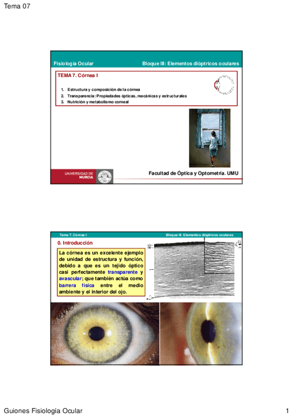 Miniatura del documento tema07.pdf