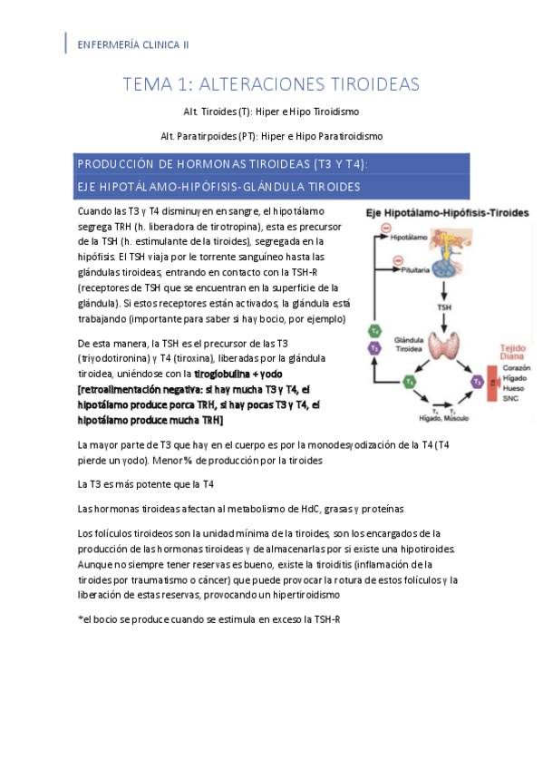 Miniatura del documento T1.-Alt.-tiroideas.pdf