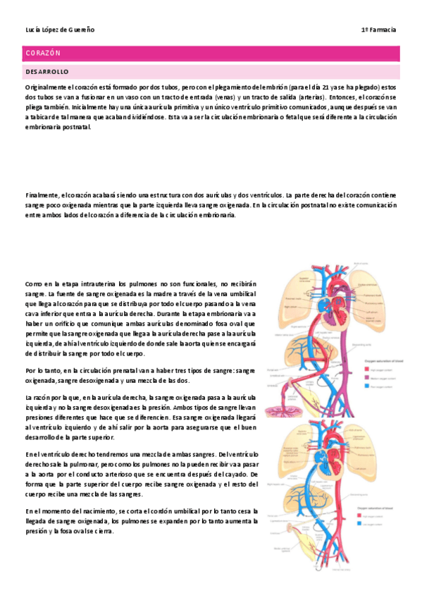 Miniatura del documento Corazon.pdf