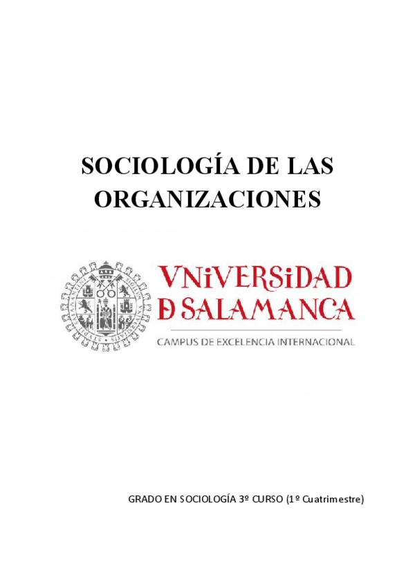 Miniatura del documento SOCIOLOGIA-DE-LAS-ORGANIZACIONES.docx.pdf