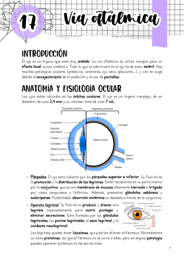 Miniatura del documento Tema-17.-Via-oftalmica.pdf