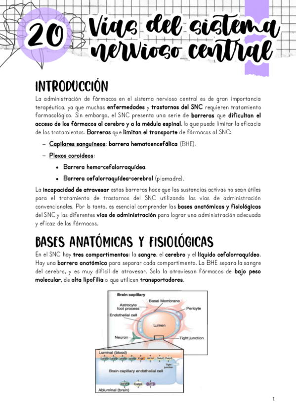 Miniatura del documento Tema-20.-Administracion-de-farmacos-en-el-SNC.pdf
