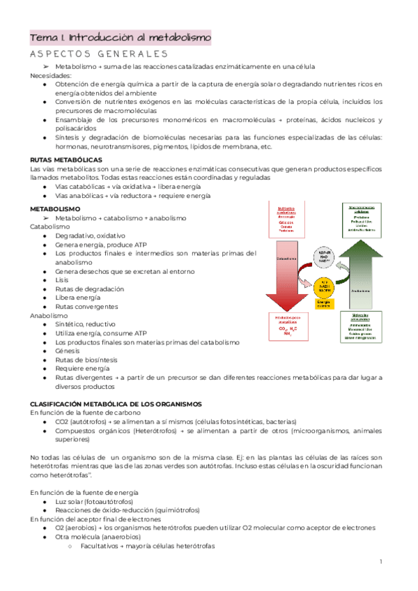 Miniatura del documento TODO-EL-CUATRI-BQ.pdf