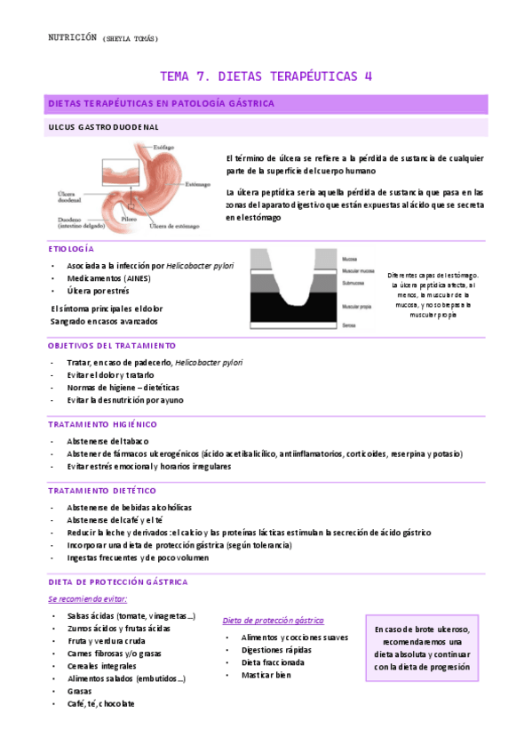 Miniatura del documento TEMA-7.-Dietas-terapeuticas-4.pdf