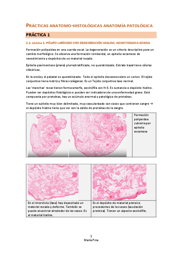 Miniatura del documento PRACTICAS-ANATOMO-HISTOLOGICAS-ANATOMIA-PATOLOGICA-22-23.pdf