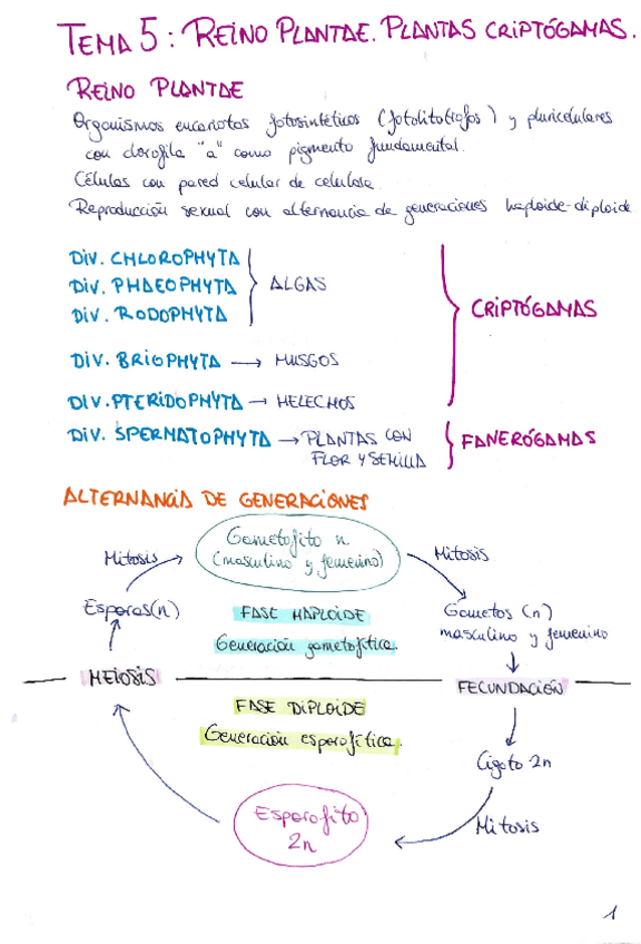 Miniatura del documento Tema-5-y-6-Biologia-II.pdf