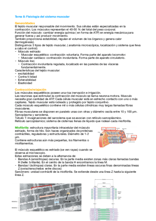 Miniatura del documento Tema-8-Fisio.pdf