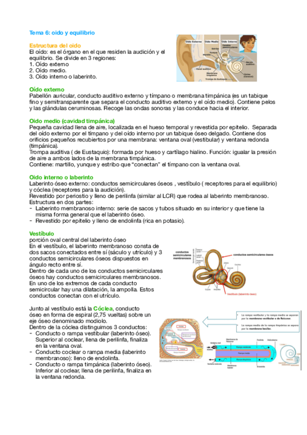Miniatura del documento Tema-6-Fisio.pdf