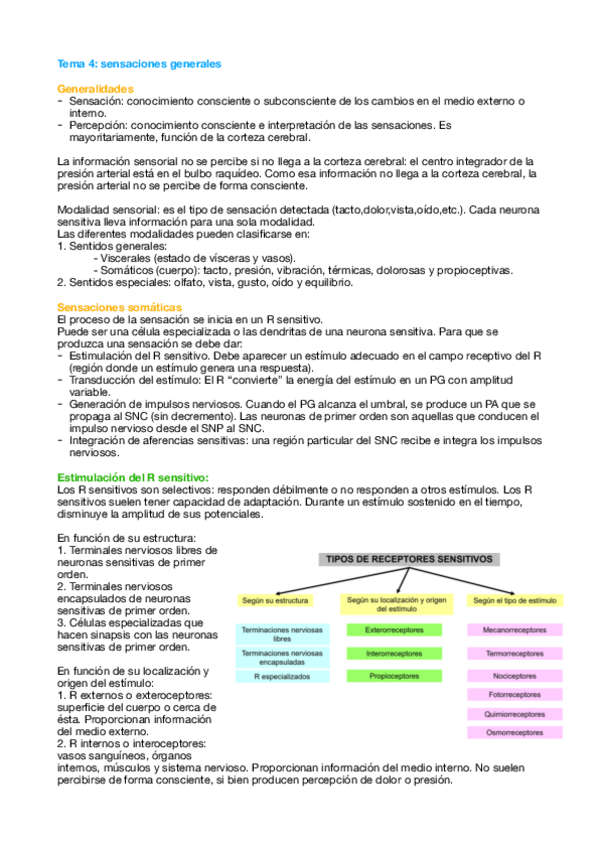 Miniatura del documento Tema-4-Fisio.pdf