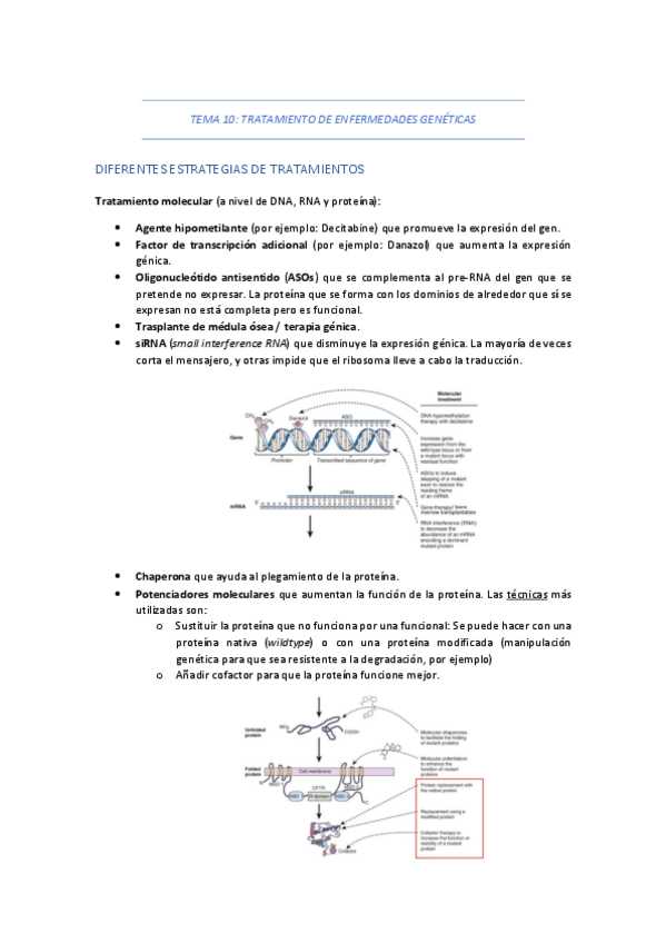 Miniatura del documento TEMA-10-TRATAMIENTO-DE-ENFERMEDADES-GENETICAS.pdf