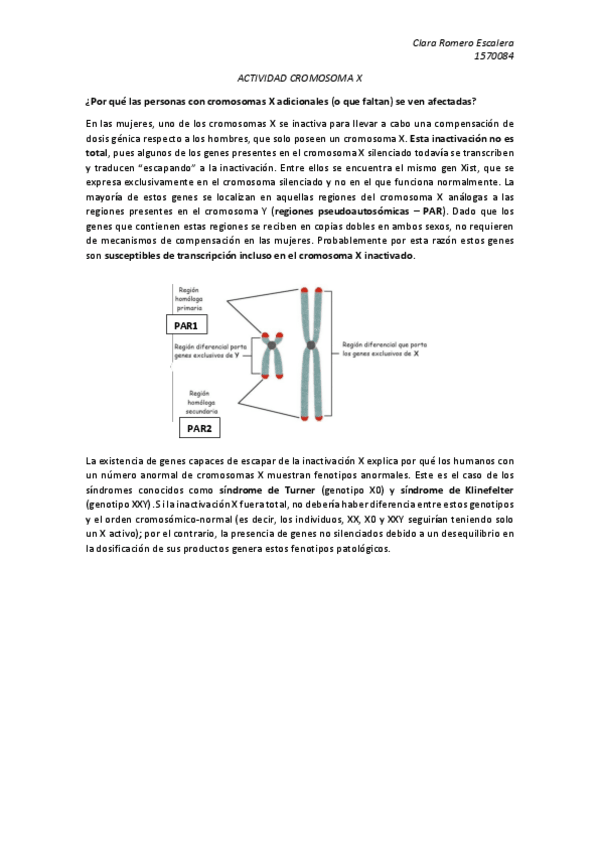 Miniatura del documento ACTIVIDAD-CROMOSOMA-X.pdf