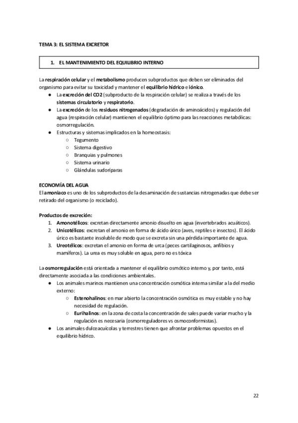Miniatura del documento Tema-3-Anato.pdf