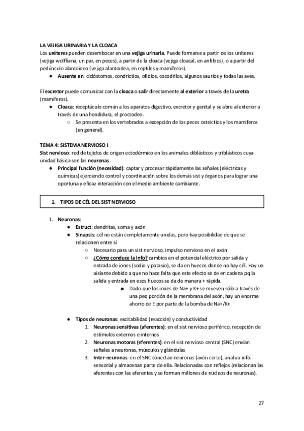 Miniatura del documento Tema-4-Anato.pdf
