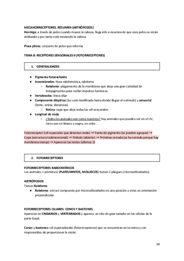 Miniatura del documento Tema-8-Anato.pdf