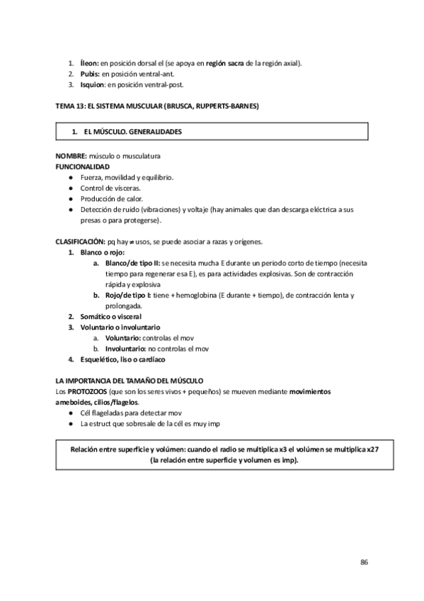 Miniatura del documento Tema-13-Anato.pdf