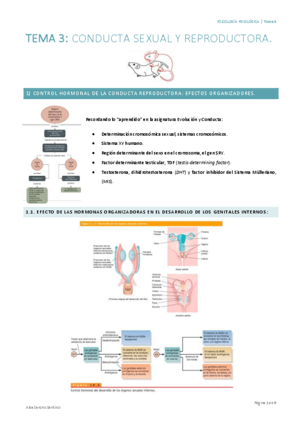 Miniatura del documento Psicologia-Fisiologica-Tema-3-Alba-Sancho.pdf