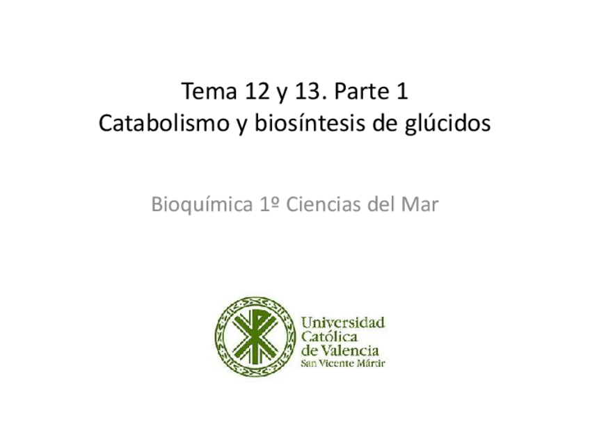 Miniatura del documento Tema-12-y-13.-Parte-1.-Catabolismo-y-biosintesis-de-Glucidos.pdf