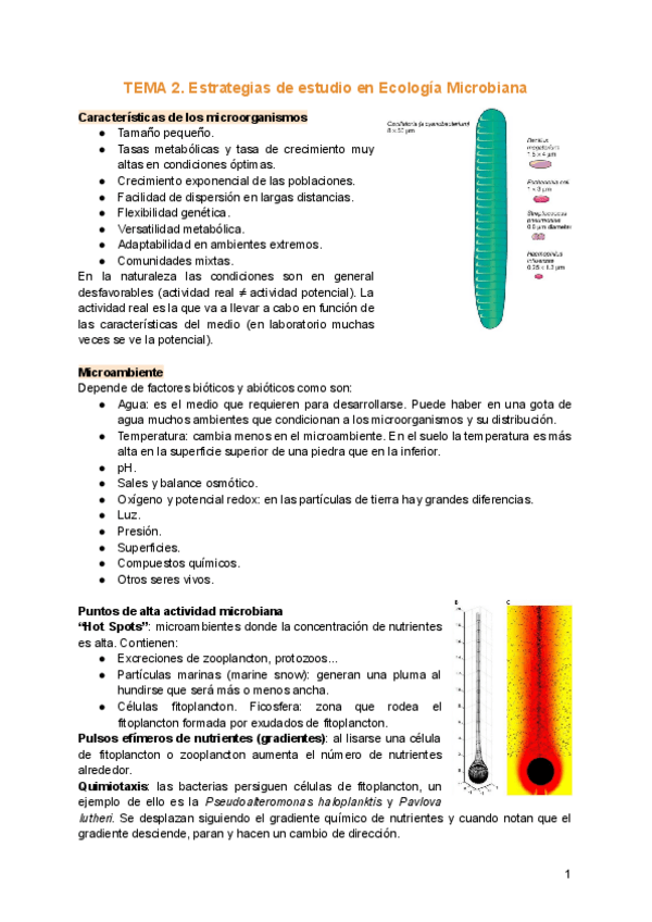 Miniatura del documento TEMA-2.-Estrategias-de-estudio-en-Ecologia-Microbiana.pdf