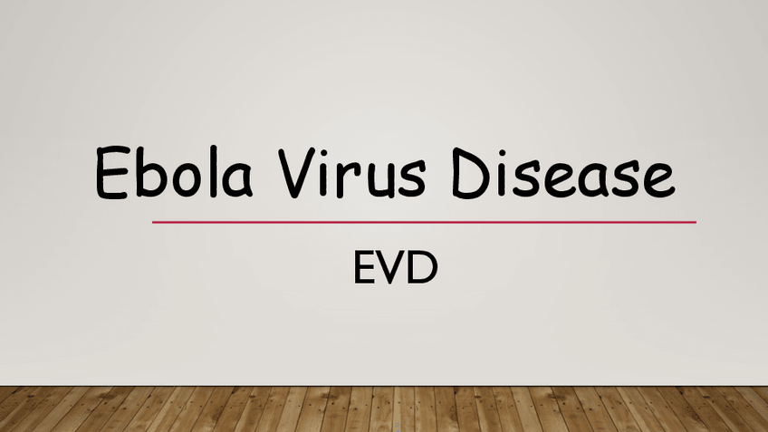 Miniatura del documento EBOLA Presentation - Antonio Vidal.pdf