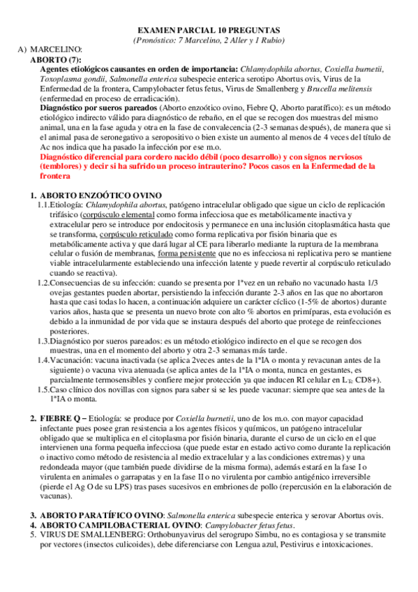 Miniatura del documento Preguntas más frecuentes INF II 1ºparcial.pdf