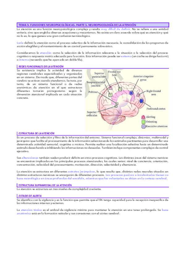 Miniatura del documento Tema-3-Septiembre-Unido.pdf