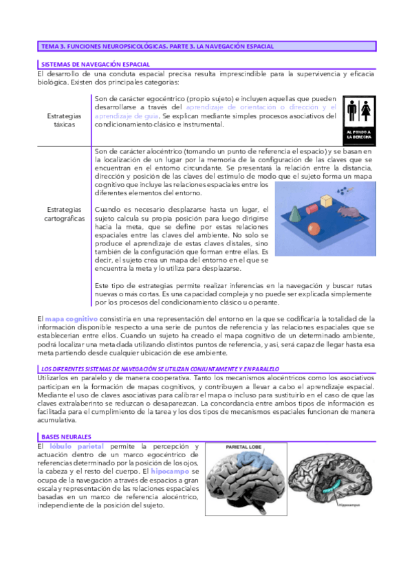 Miniatura del documento Tema-3.3-Neuro.pdf
