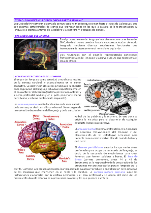 Miniatura del documento Tema-3.4-Neuro.pdf