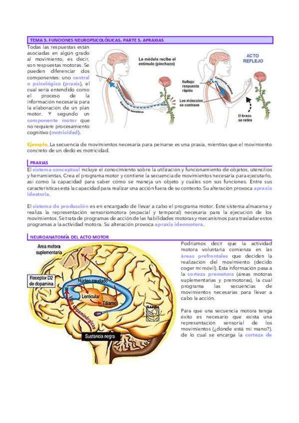 Miniatura del documento Tema-3.5-Neuro.pdf