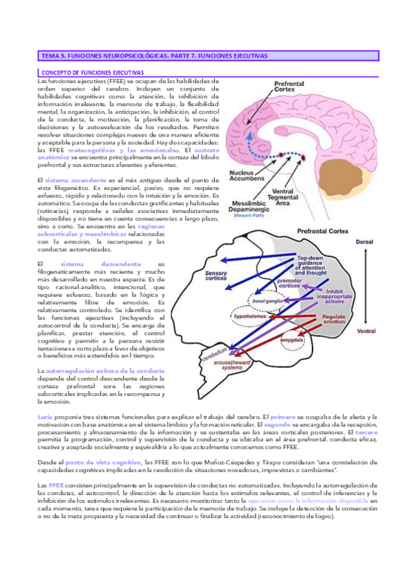 Miniatura del documento Tema-3.7-Neuro.pdf