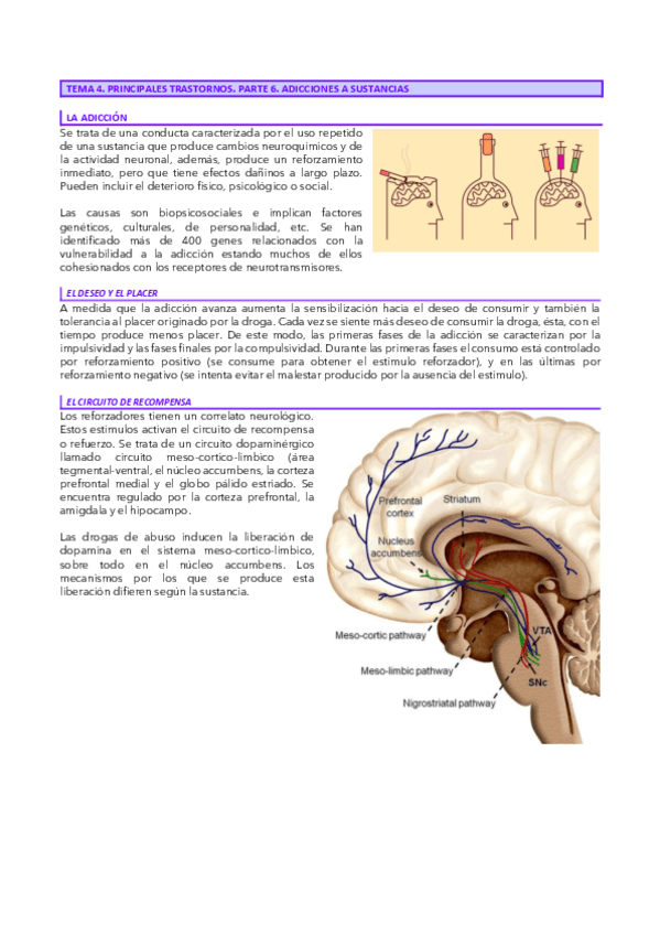 Miniatura del documento Tema-4.6-Neuro.pdf