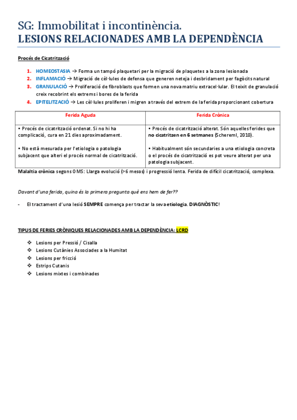 Miniatura del documento LESIONS-relacionades-Dependencia.pdf