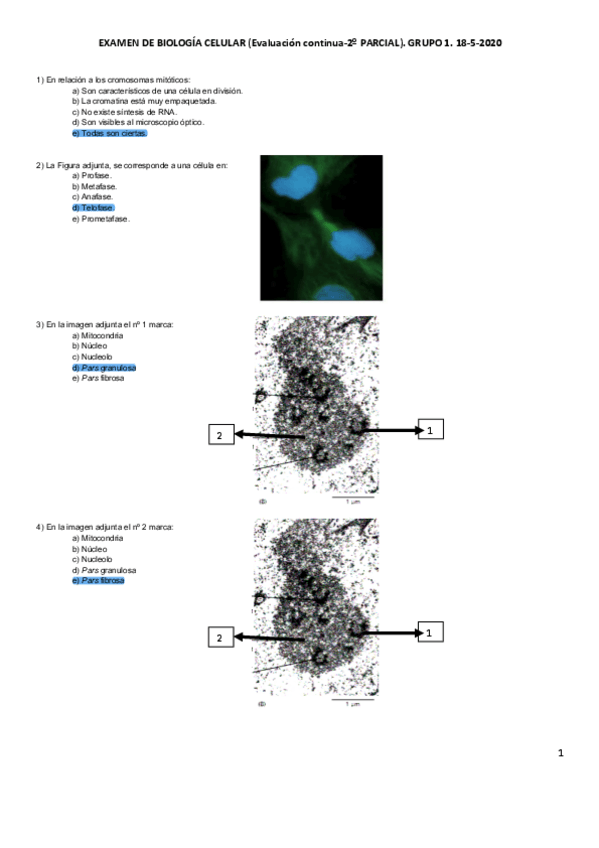 Miniatura del documento examen-respuestas-parte-2.pdf