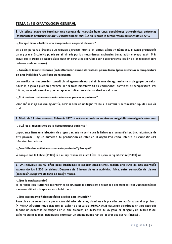 Miniatura del documento EJERCICIOS-TP-TEMA-1.pdf