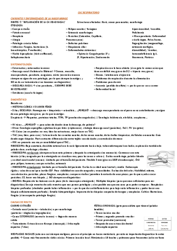 Miniatura del documento APUNTES-CM-RESPIRATORIO-CAC-I.pdf